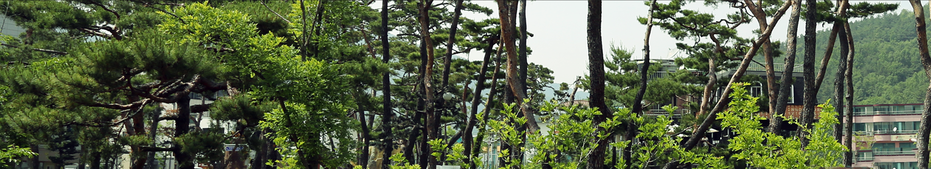 모바일에서는 이미지를 가로크기 1000px 로 잘라서 출력됩니다.