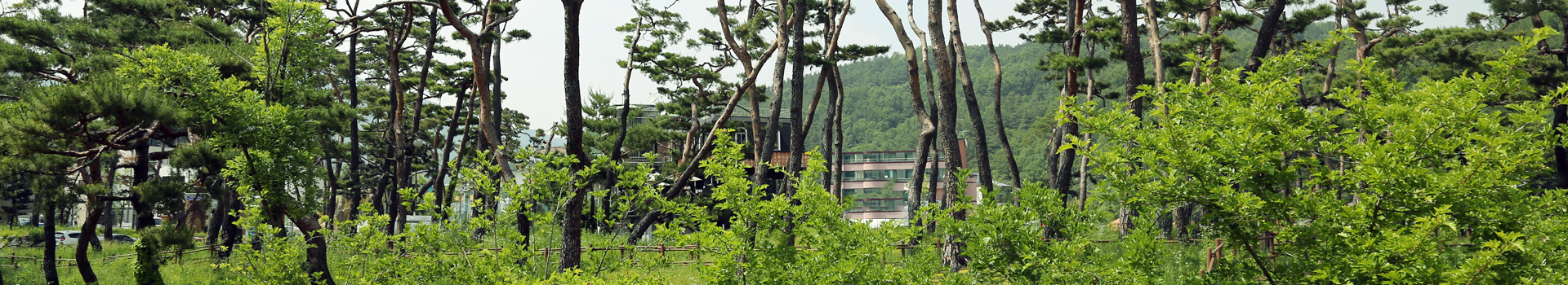 모바일에서는 이미지를 가로크기 1000px 로 잘라서 출력됩니다.